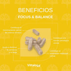 Focus & Balance Complemento Alimenticio Nootrópico Con Ashwagandha Para Memoria Y Concentración. Suplemento Antiestrés De Té Verde, Ginseng Y Vitaminas B3, B5 Y B1 Para Estudiar. 60 Cápsulas