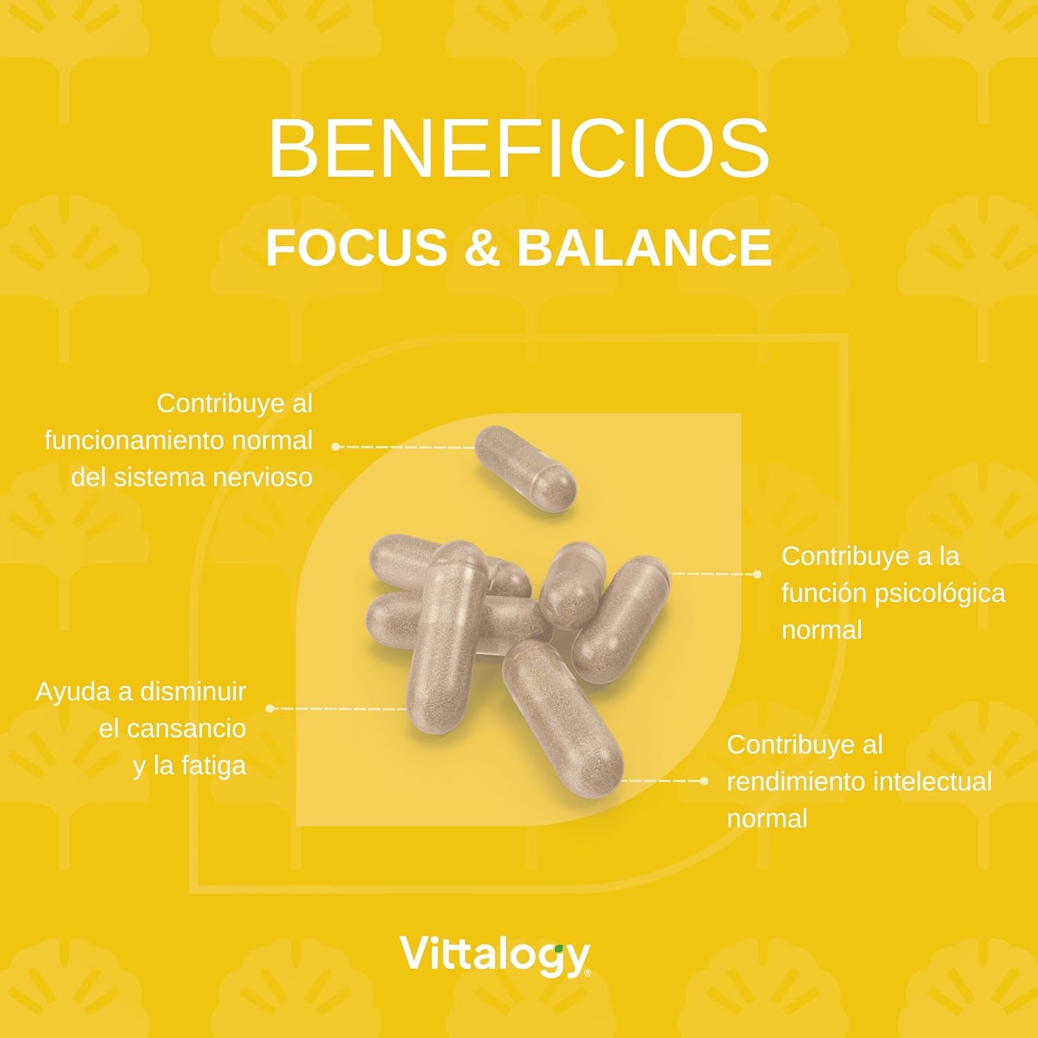 Focus & Balance Complemento Alimenticio Nootrópico Con Ashwagandha Para Memoria Y Concentración. Suplemento Antiestrés De Té Verde, Ginseng Y Vitaminas B3, B5 Y B1 Para Estudiar. 60 Cápsulas