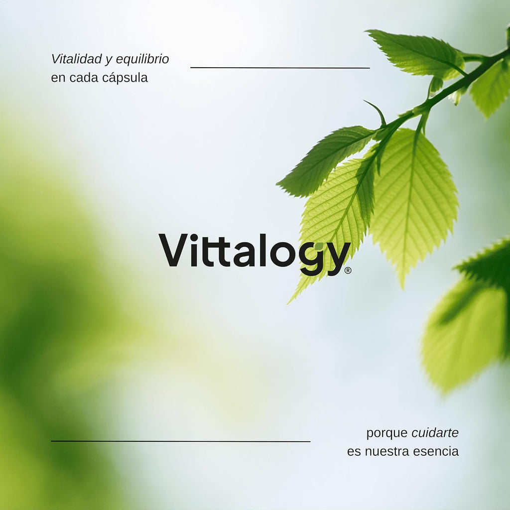 Focus & Balance Complemento Alimenticio Nootrópico Con Ashwagandha Para Memoria Y Concentración. Suplemento Antiestrés De Té Verde, Ginseng Y Vitaminas B3, B5 Y B1 Para Estudiar. 60 Cápsulas
