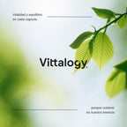 Focus & Balance Complemento Alimenticio Nootrópico Con Ashwagandha Para Memoria Y Concentración. Suplemento Antiestrés De Té Verde, Ginseng Y Vitaminas B3, B5 Y B1 Para Estudiar. 60 Cápsulas