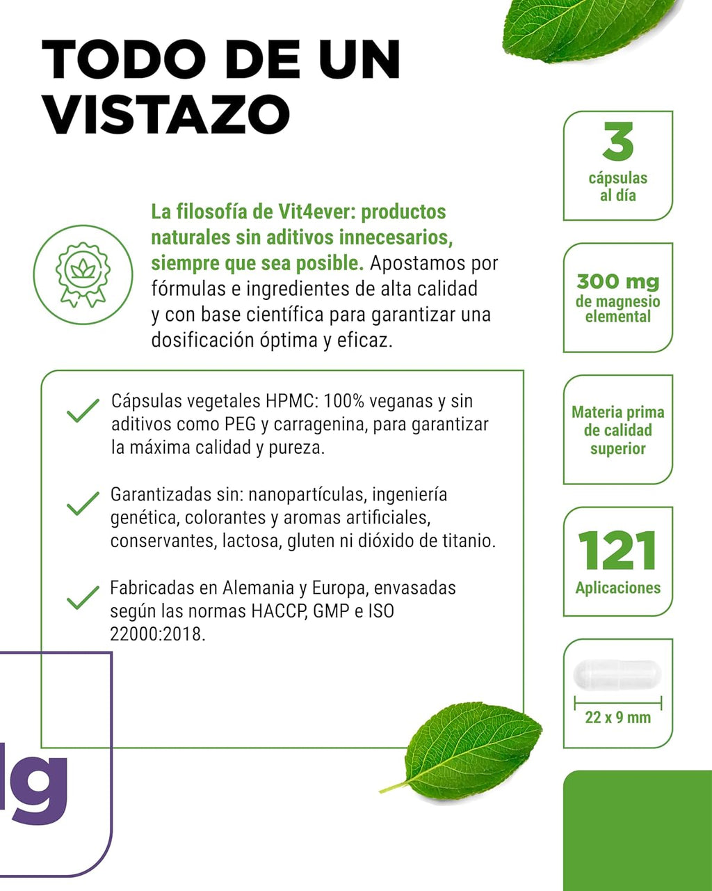 Vit4Ever Magnesio Bisglicinato - 365 Cápsulas - 300 Mg De Magnesio Elemental Por Dosis Diaria - Premium: Magnesium Quelado - Vegano