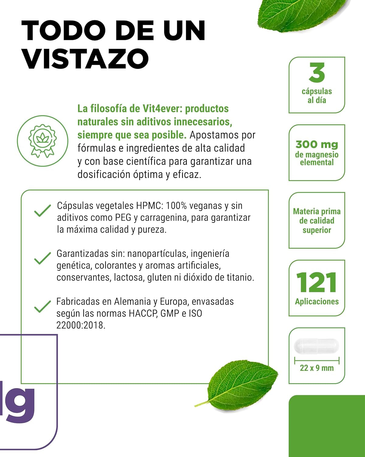Vit4Ever Magnesio Bisglicinato - 365 Cápsulas - 300 Mg De Magnesio Elemental Por Dosis Diaria - Premium: Magnesium Quelado - Vegano