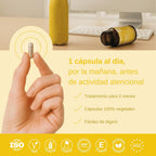 Focus & Balance Complemento Alimenticio Nootrópico Con Ashwagandha Para Memoria Y Concentración. Suplemento Antiestrés De Té Verde, Ginseng Y Vitaminas B3, B5 Y B1 Para Estudiar. 60 Cápsulas