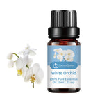 Vela De Aromaterapia De 10Ml, Aceite Esencial Vegetal Con Sabor a Fruta Natural, Vela De Jabón Hecha a Mano, Esencia De Vainilla