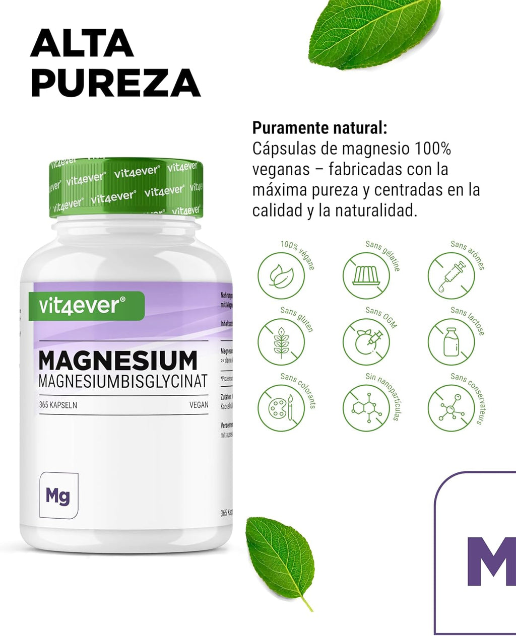 Vit4Ever Magnesio Bisglicinato - 365 Cápsulas - 300 Mg De Magnesio Elemental Por Dosis Diaria - Premium: Magnesium Quelado - Vegano