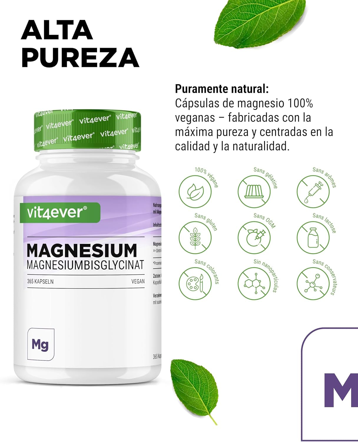 Vit4Ever Magnesio Bisglicinato - 365 Cápsulas - 300 Mg De Magnesio Elemental Por Dosis Diaria - Premium: Magnesium Quelado - Vegano