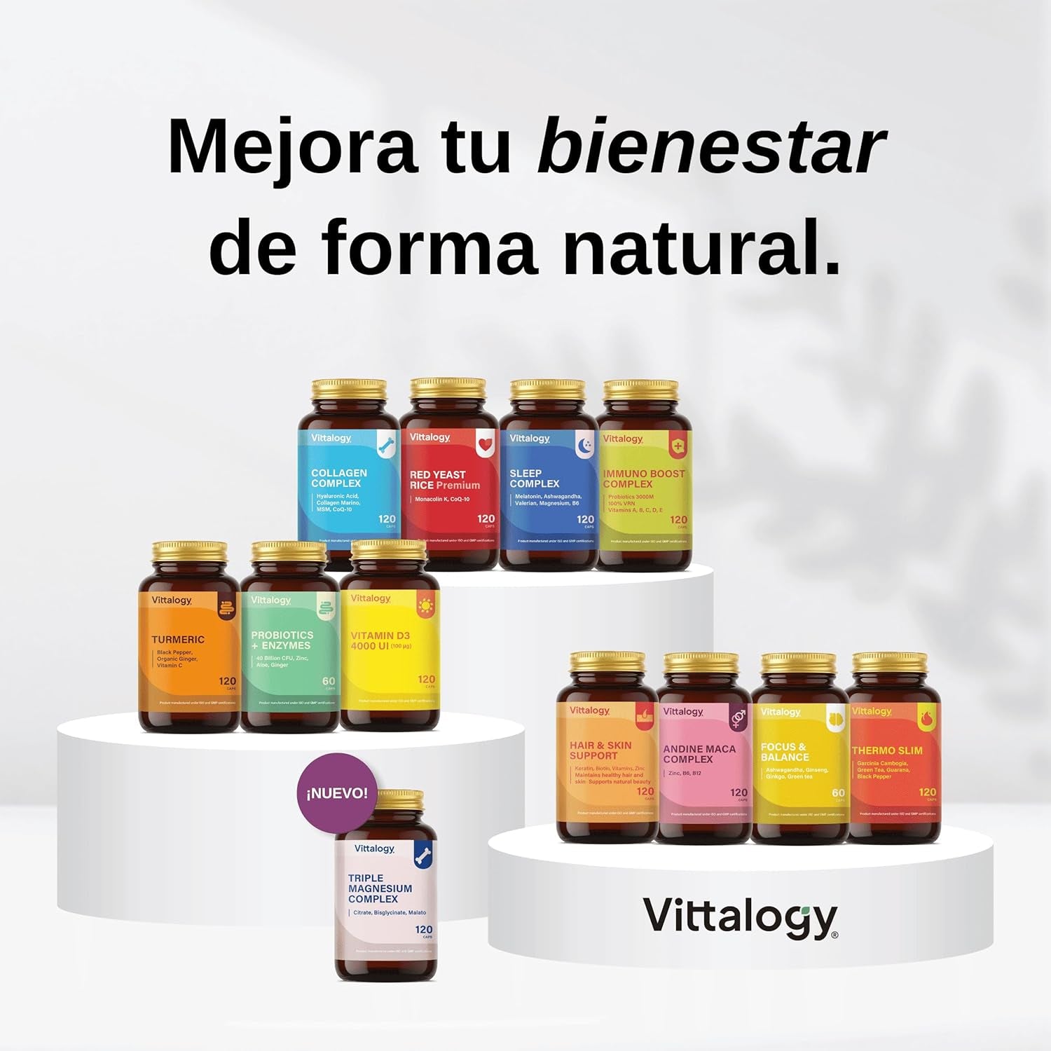 Focus & Balance Complemento Alimenticio Nootrópico Con Ashwagandha Para Memoria Y Concentración. Suplemento Antiestrés De Té Verde, Ginseng Y Vitaminas B3, B5 Y B1 Para Estudiar. 60 Cápsulas