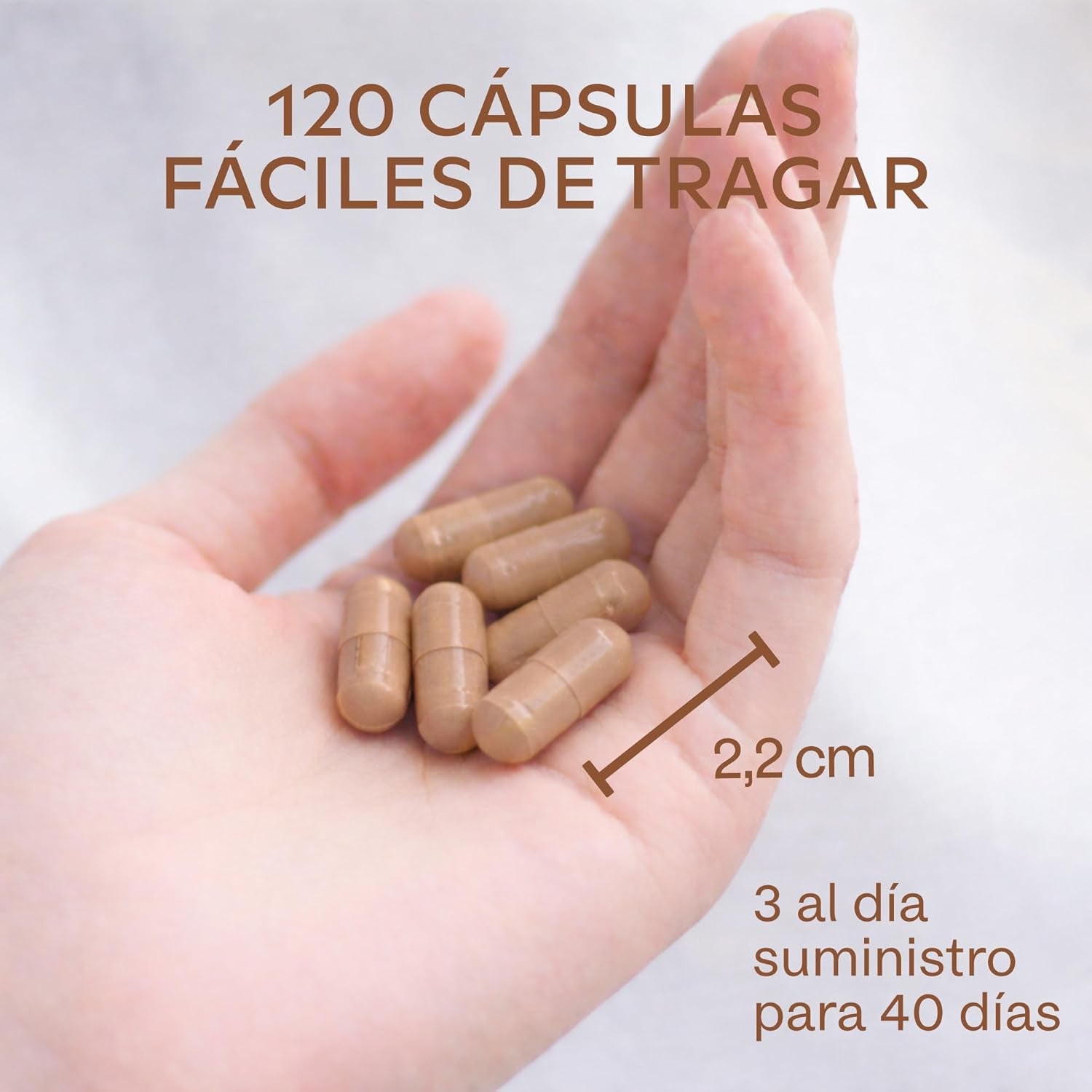 Ashwagandha KSM-66 1000Mg (Proporción De Extracto 10:1 Equivalente a 10,000Mg Por Porción) - 5% De Withanólidos - Ashwagandha Organica Con Magnesio, Manganeso, Zinc Y Vitamina B6, B1-120 Capsulas