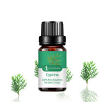 Vela De Aromaterapia De 10Ml, Aceite Esencial Vegetal Con Sabor a Fruta Natural, Vela De Jabón Hecha a Mano, Esencia De Vainilla