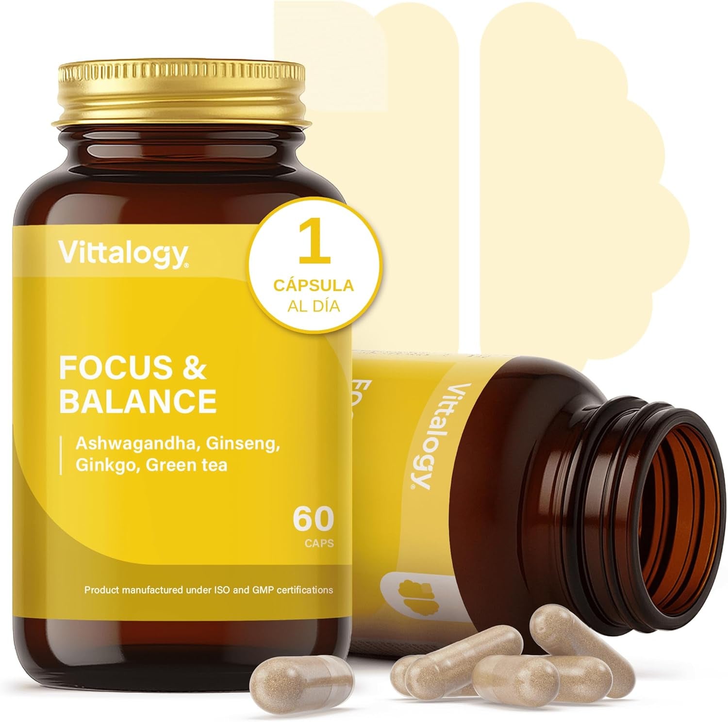Focus & Balance Complemento Alimenticio Nootrópico Con Ashwagandha Para Memoria Y Concentración. Suplemento Antiestrés De Té Verde, Ginseng Y Vitaminas B3, B5 Y B1 Para Estudiar. 60 Cápsulas