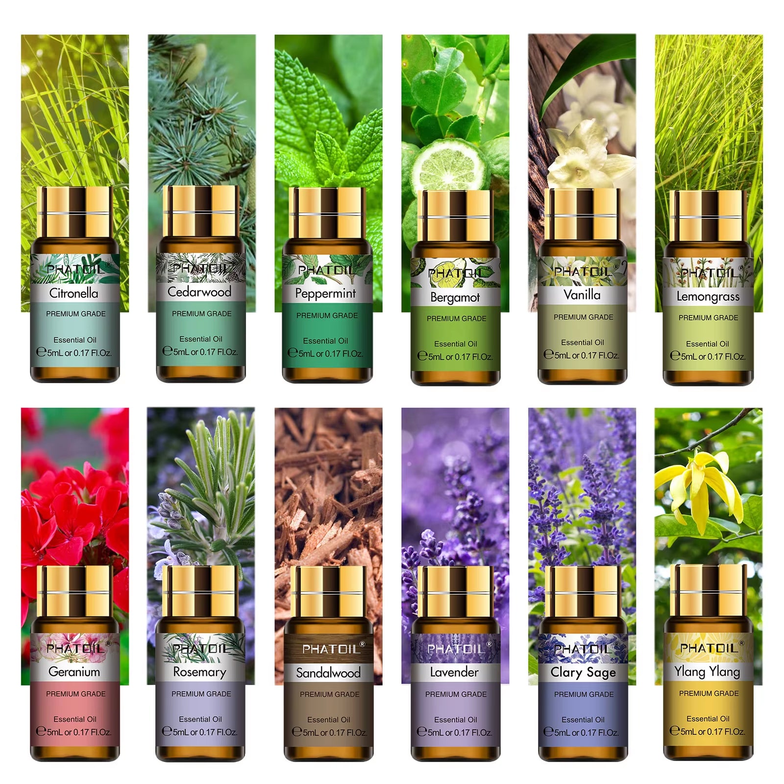 15Pcs Essential Oils Set for Diffuser Humidifier Candles Making-5Ml Lavender Vanilla Peppermint Rosemary Aroma Oil