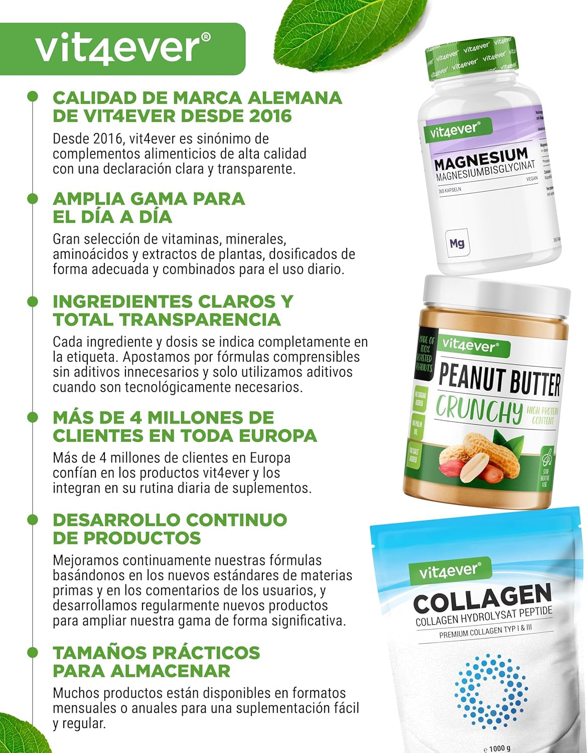 Vit4Ever Magnesio Bisglicinato - 365 Cápsulas - 300 Mg De Magnesio Elemental Por Dosis Diaria - Premium: Magnesium Quelado - Vegano